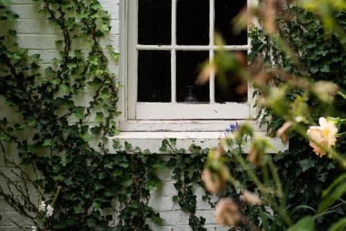 Twin Room with Garden View