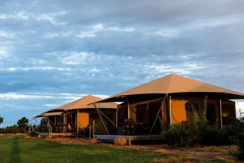 Tent