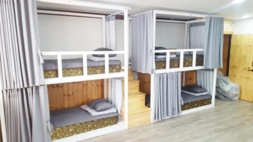 Bunk Bed in Mixed Dormitory Room