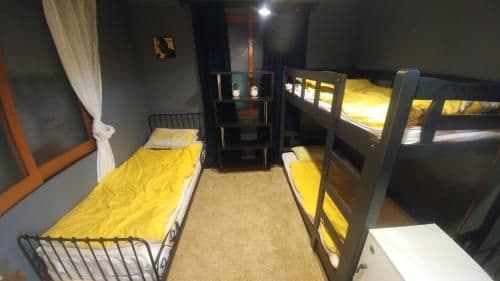 Bunk Bed in Female Dormitory Room