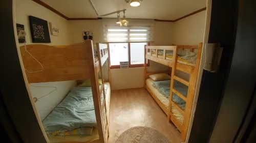Bunk Bed in Mixed Dormitory Room
