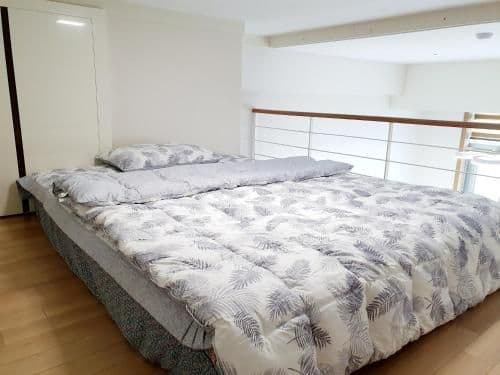 Duplex Apartment