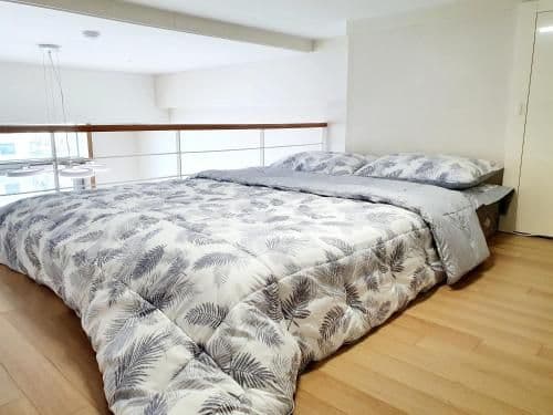 Duplex Apartment