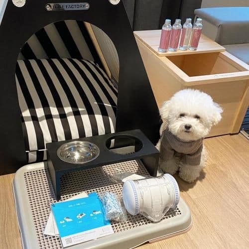 [Pet Friendly] Sky Royal (High Floor, Air-dresser, Free Mini bar)