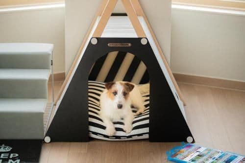 [Pet Friendly] Sky Royal (High Floor, Air-dresser, Free Mini bar)