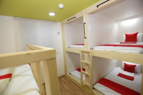 Bunk Bed in 6-Bed Female Dormitory Room