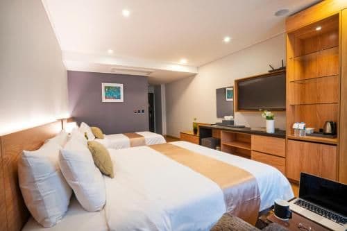 Deluxe Twin Room