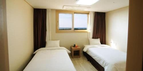 Family Room - Pet-Friendly