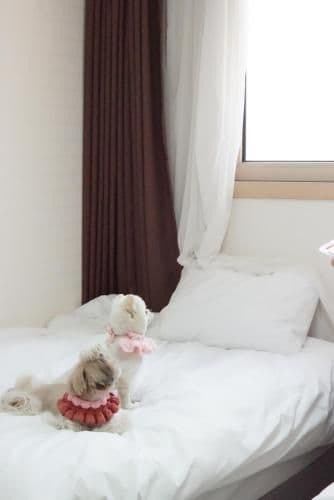 Family Room - Pet-Friendly