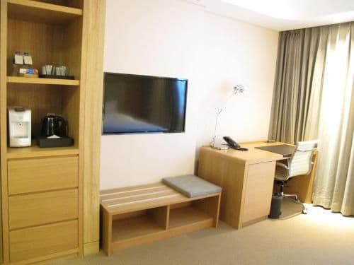 Studio Suite (1 King Bed)