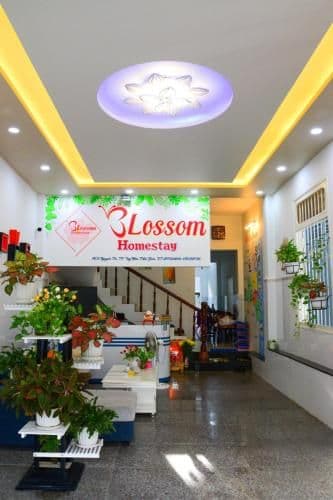 Blossom Homestay Blossom Homestay