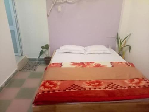 Large Single Room