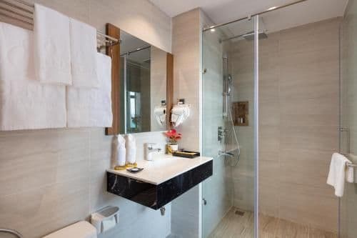 Deluxe Double or Twin Room with Sea View