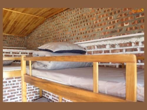 Bunk Bed in Mixed Dormitory Room