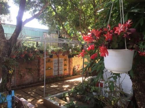 Double Room with Balcony (2 Adults + 1 Child)