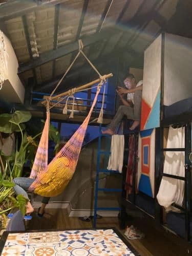 Bunk Bed in Mixed Dormitory Room