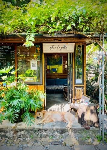 Blue Lagoon Cat Ba Blue Lagoon Cat Ba