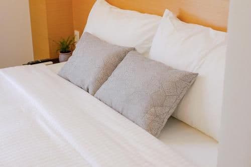 Deluxe Room (2 Adults + 1 Child)