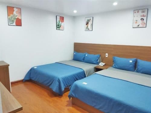 Standard Quadruple Room