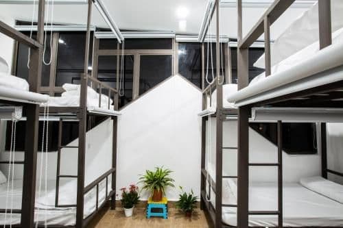 Bunk Bed in Mixed Dormitory Room