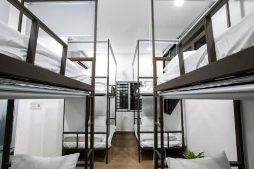 Bunk Bed in Mixed Dormitory Room