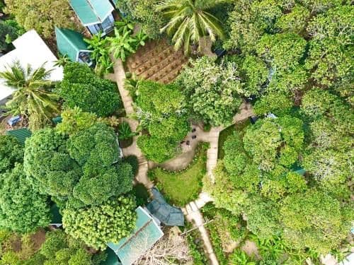 Homestay Da la Rosa - Con Dao