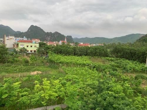 Quadruple Room with Mountain View