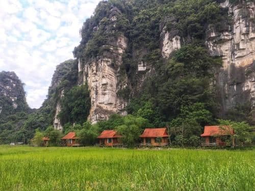 Lotus Field Homestay Lotus Field Homestay