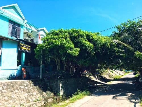 Trang Vu Homestay Cu Lao Cham Trang Vu Homestay Cu Lao Cham