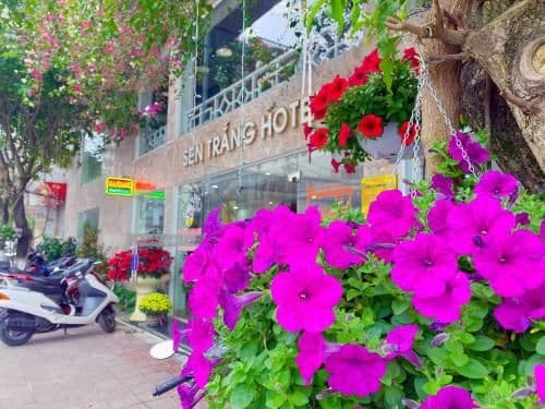 Sen Trang Hotel Sen Trang Hotel