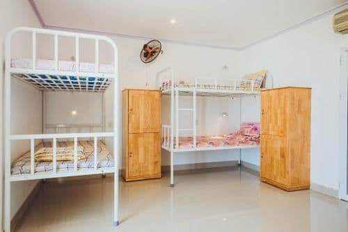 Bed in 6-Bed Dormitory Room