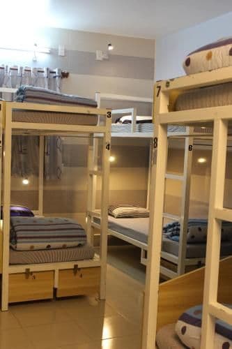Bunk Bed in Mixed Dormitory Room