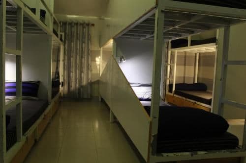 Bunk Bed in Mixed Dormitory Room