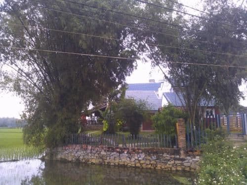 Superior Villa