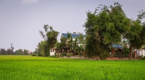Superior Villa