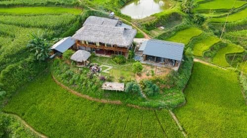 Zoni Home Trạm Tấu Zoni Home Trạm Tấu