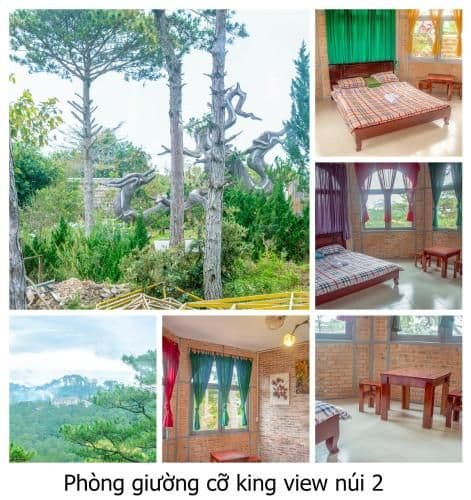 King Room with Garden View
