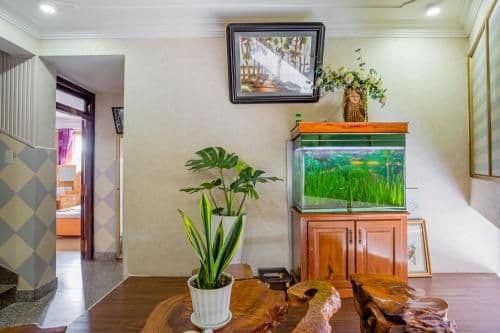 Standard Family Room