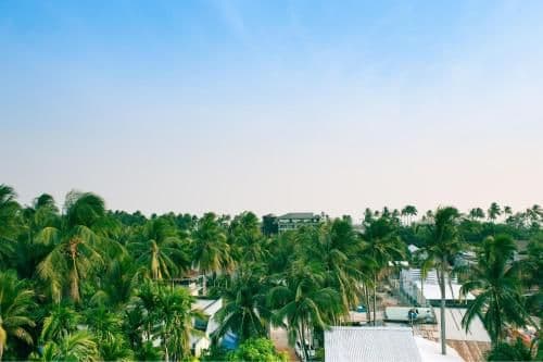 Twin Room with View