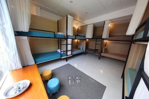 Single Bed in 10-Bed Dormitory Room