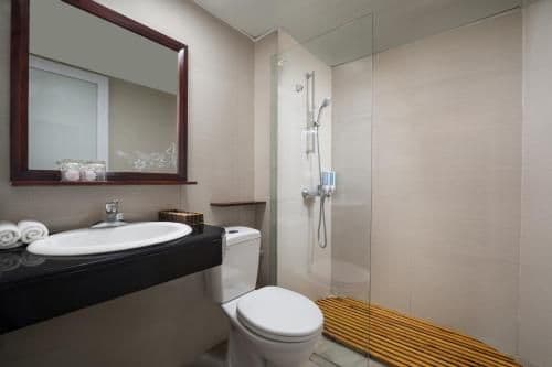 Deluxe Double or Twin Room with City View