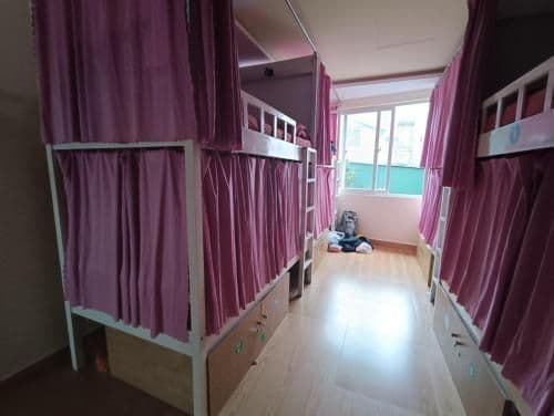 Bed in 10-Bed Mixed Dormitory Room