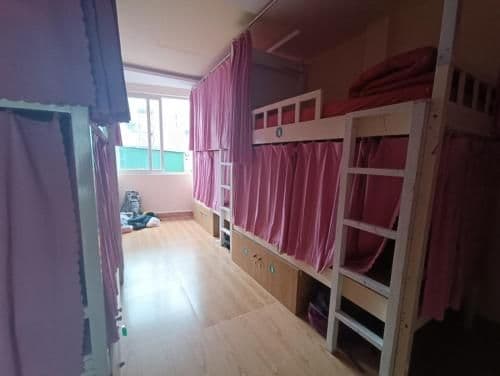Bed in 10-Bed Mixed Dormitory Room