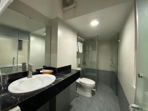 Deluxe Double or Twin Room with City View