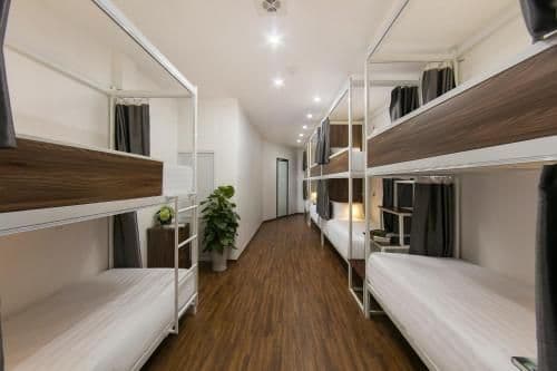 Bunk Bed in Mixed Dormitory Room