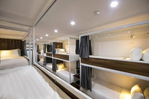 Bunk Bed in Mixed Dormitory Room