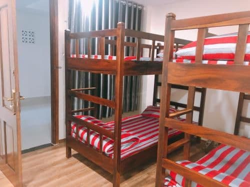 Bunk Bed in Mixed Dormitory Room