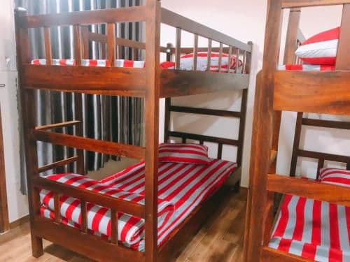 Bunk Bed in Mixed Dormitory Room