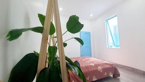 Bed in 8-Bed Mixed Dormitory Room