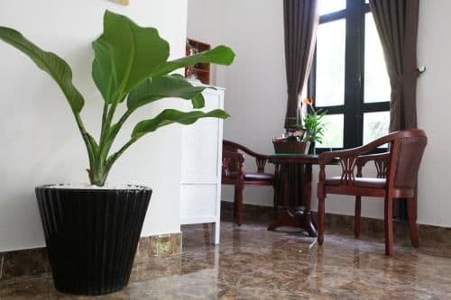 Queen Room with Garden View